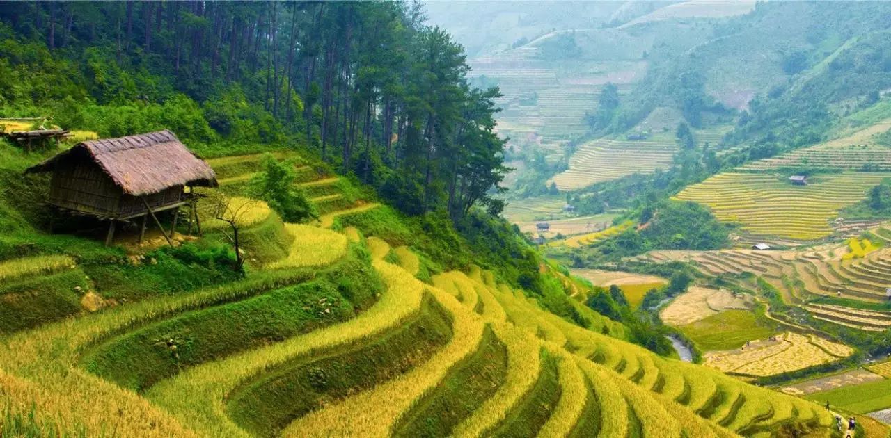 最美梯田 ——千里迢迢,翻山越岭,只是为了看你一眼