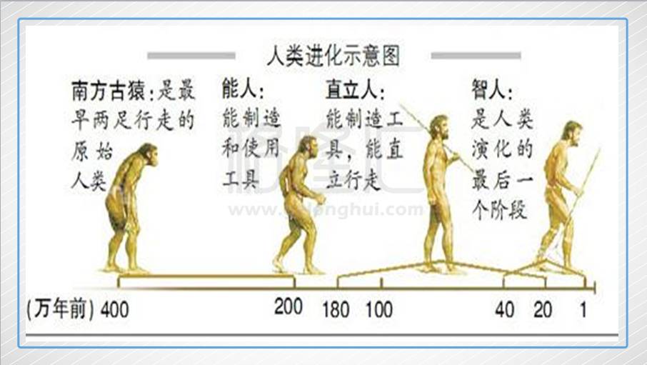 元谋人,北京猿人都属于直立人的一种.