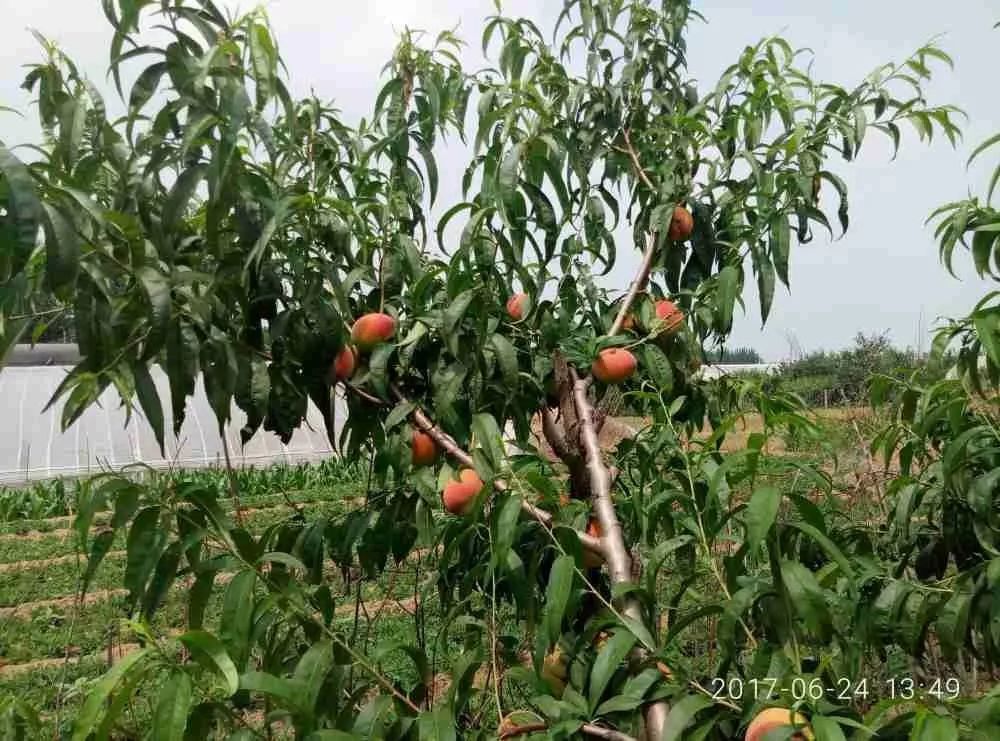 封姓多少人口_茅家醉封藏酒价格多少(3)