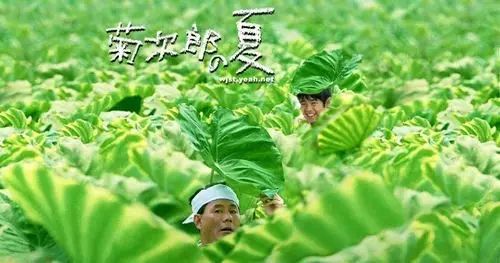 《菊次郎的夏天》 豆瓣评分:8.7