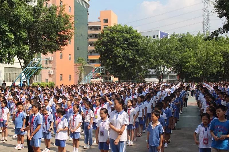 同学们纷纷响应号召,美化,净化,绿化校园,打造美丽的沙井东山书院!