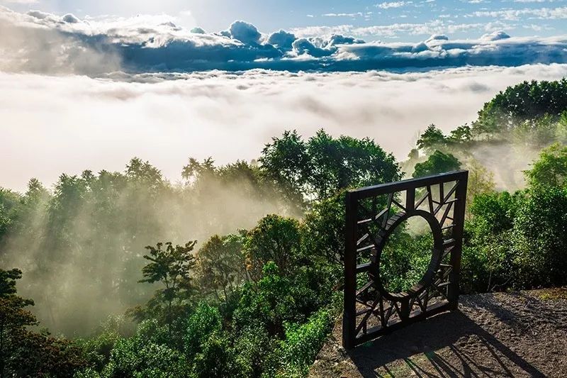 这是我的圣地,世界非遗产地景迈山,高山云雾出好茶.