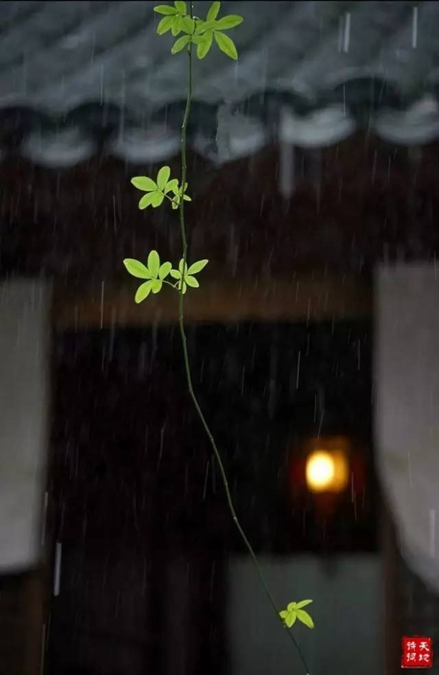 一场秋雨一场寒