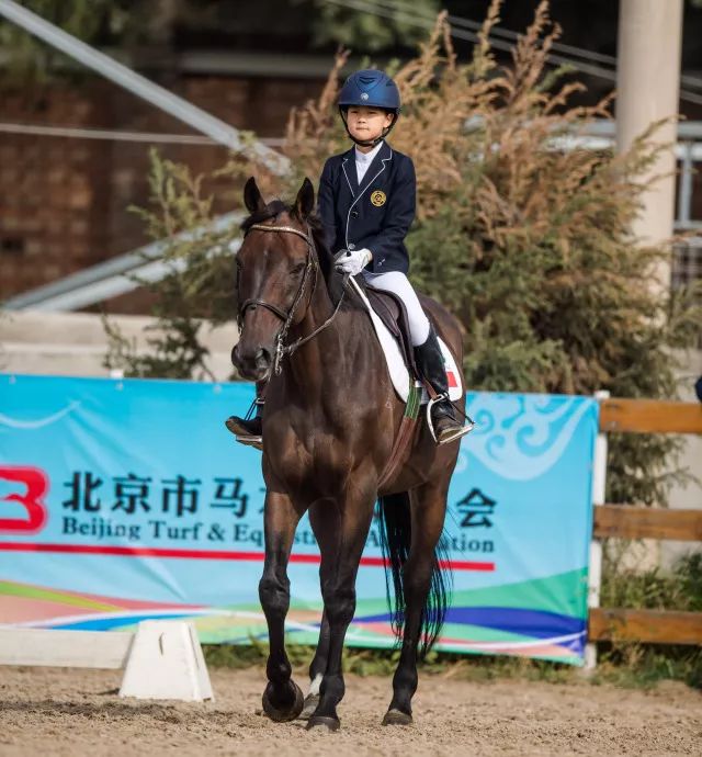 北京国发马术俱乐部共有12个青少年小骑手,20个人马组合参加比赛