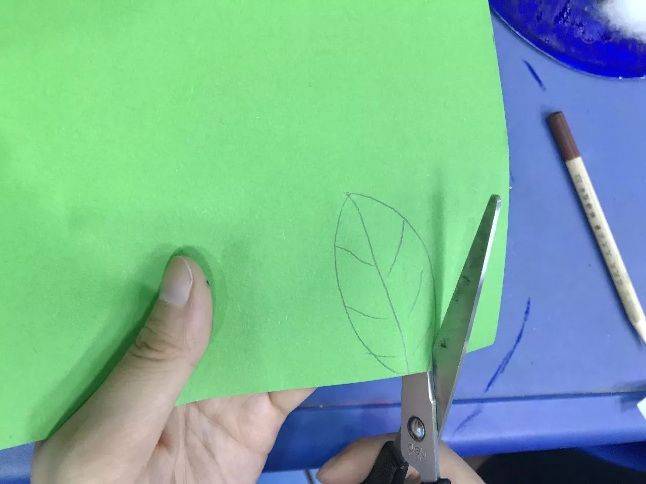 3,在绿色的卡纸上画出数枚叶子的图案,剪下备用