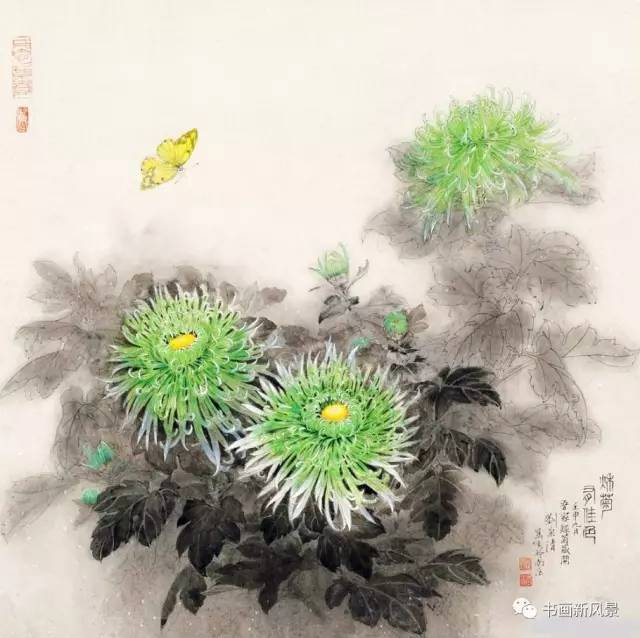 刘菊清 菊花 2,俞致贞画菊