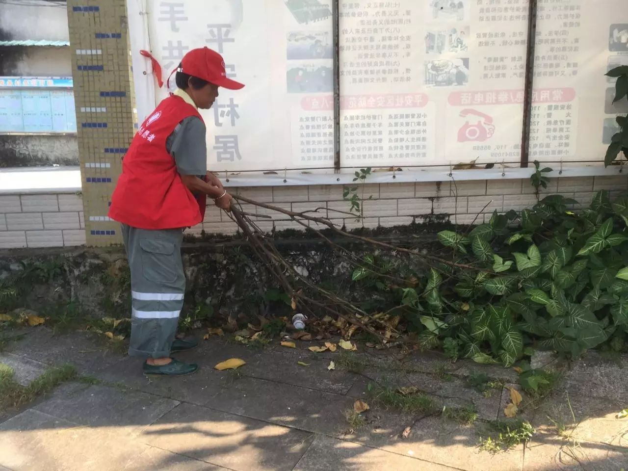 腊圃村人口_诏安腊州村图片(2)