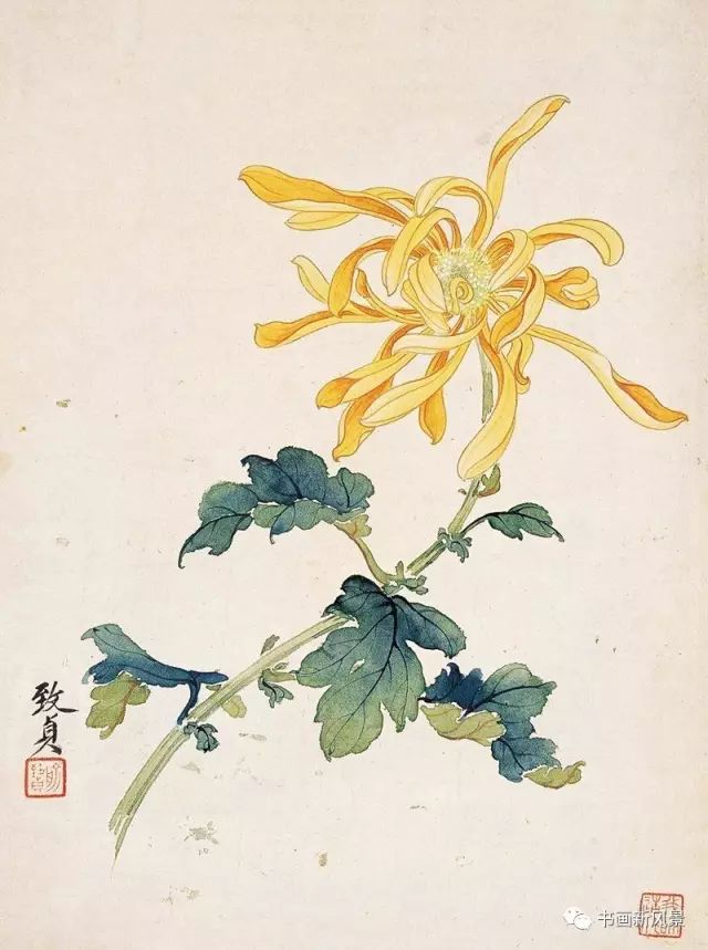 两位女教授画菊花,美美美!