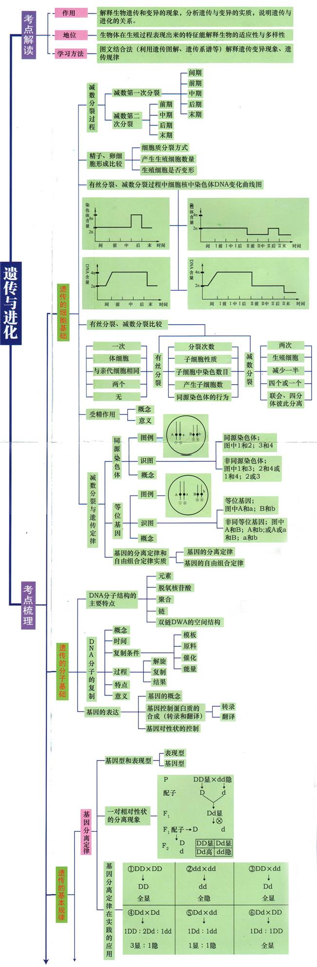 高中9科[思维导图/高频考点导图]汇总!名师熬夜整理,助你多考40分!