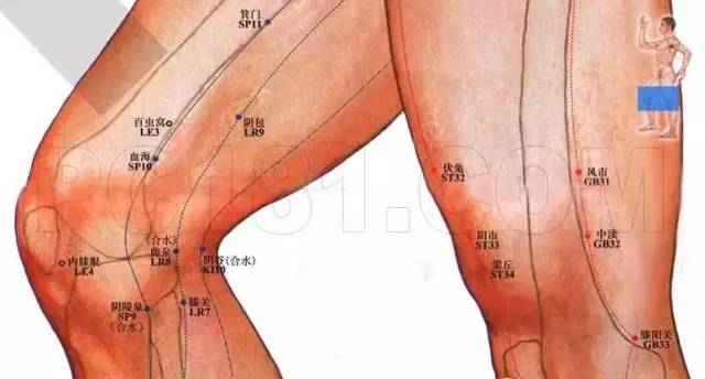 默默无闻的小腿原来这么重要