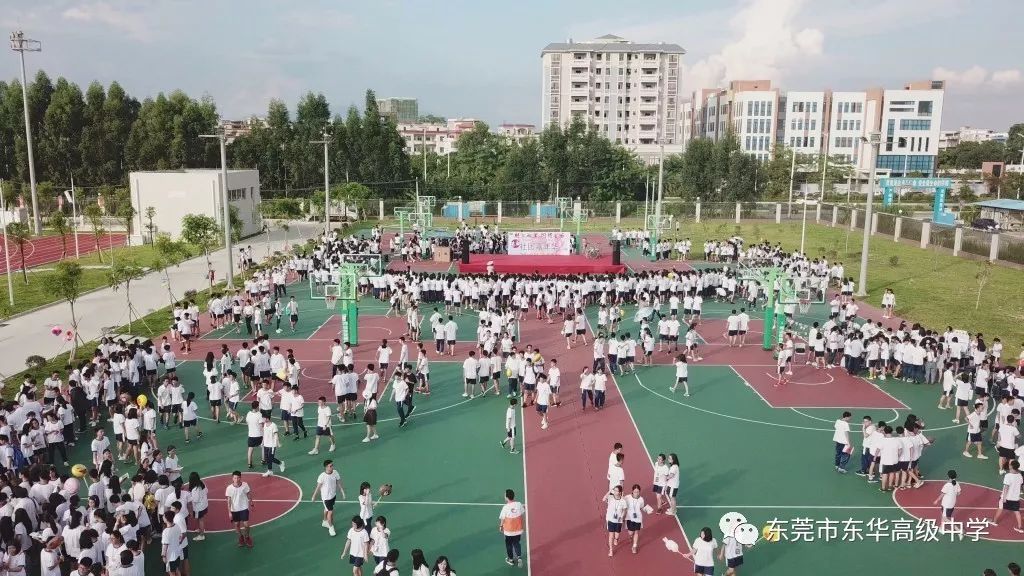 生态社团 魅力闪耀——东华高级中学松山湖(生态园)校区举办首届社团