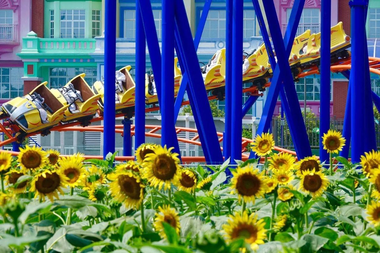 美到窒息!全球第一个花海游乐场,就在广州!