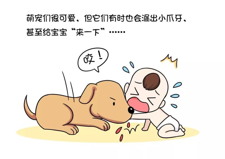 【趣漫急救】世界狂犬病日,带你了解猫狗咬伤后的急救