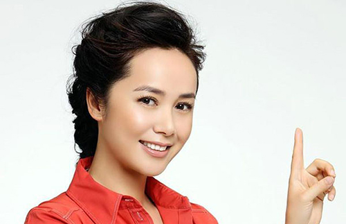 中国电视最具实力女演员排行榜冠军无可争议