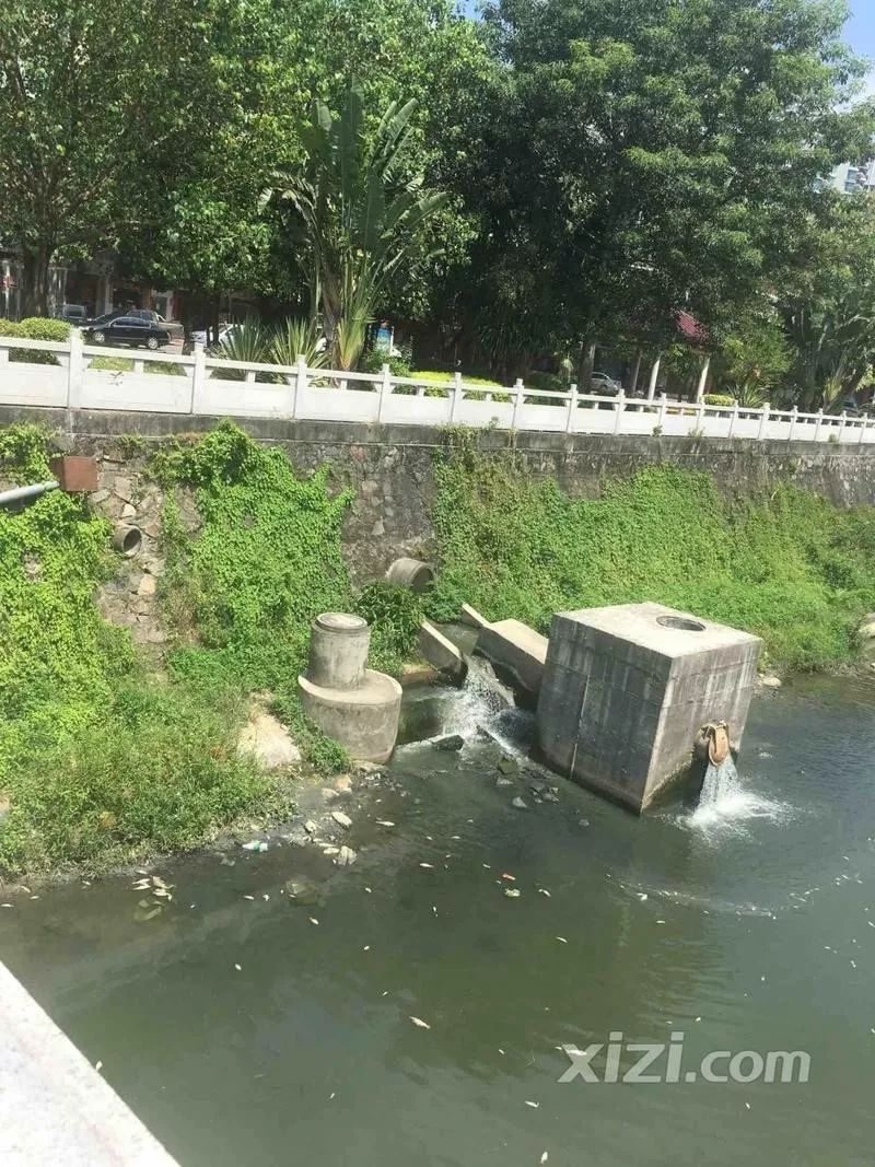 据网友@akwandeqi 发帖称,黄排桥下的排水口位置,河面漂浮出一大片