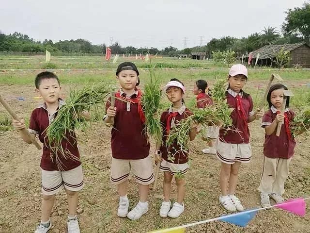 猜成语锄禾日当午汗滴禾下土_锄禾日当午汗滴禾下土