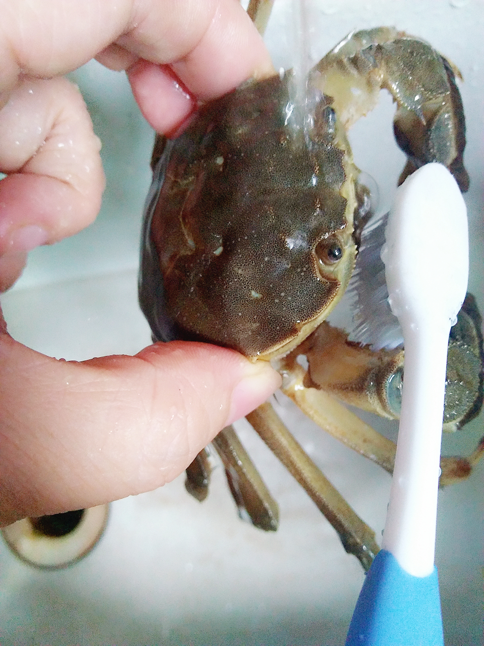 这个中秋必须要学的一道菜——螃蟹蒸蛋