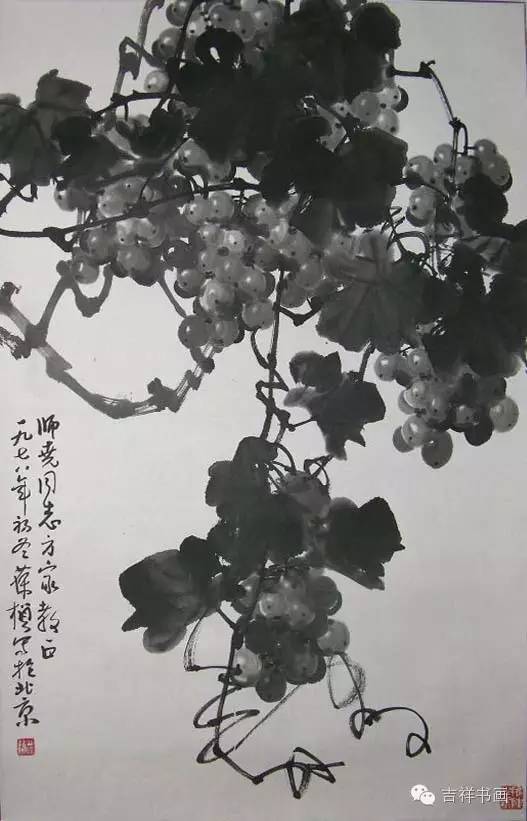 墨彩葡萄图,历经几十年的反复提炼,最终形成其融中西绘画技艺于一炉的