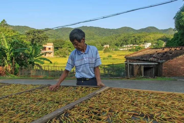 常山县各乡镇人口数量_常山县地图(2)