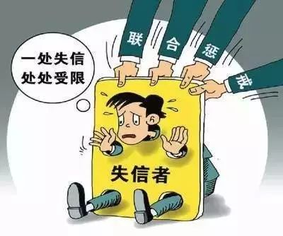 (二)政府支持或补贴限制