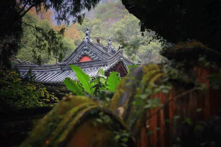 清湍鸣回溪