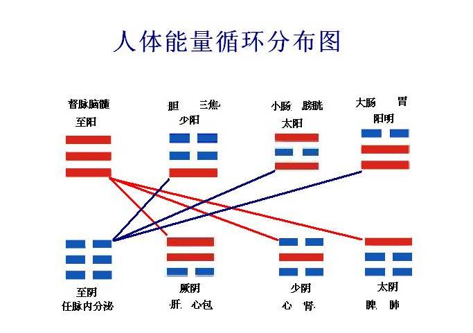 易者象也，吉凶悔吝人生的最高哲学：修身养生真谛十二时辰的时间医学