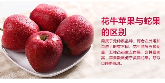 丨 天水花牛苹果 中国的"蛇果?