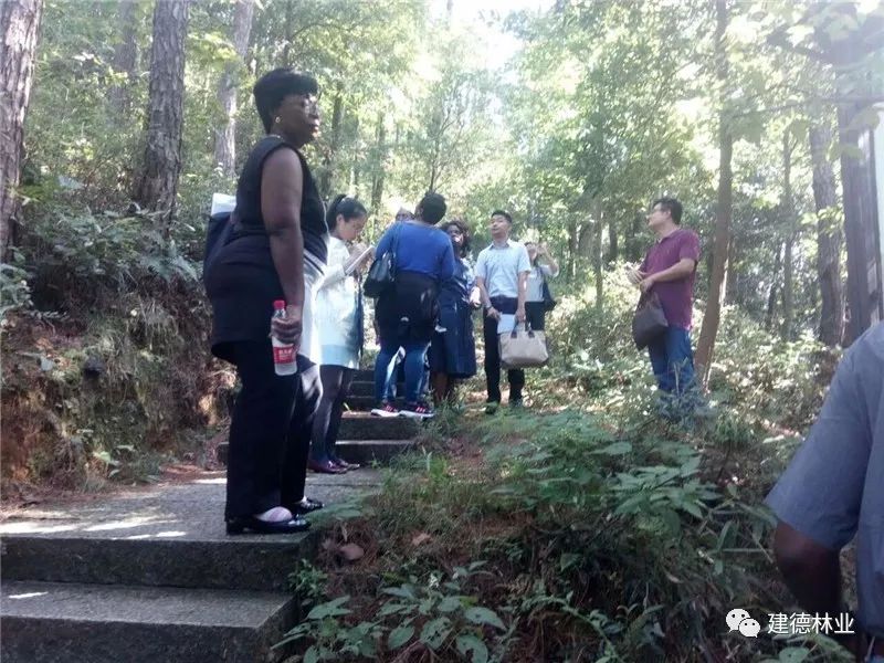 来了一回"穿越"乌龙山.