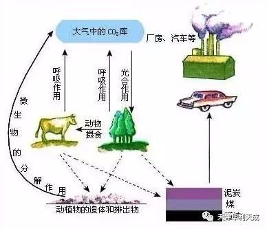 磷以3种形式存在于养殖环境中:溶解无机磷,溶解有机磷和颗粒磷,3种