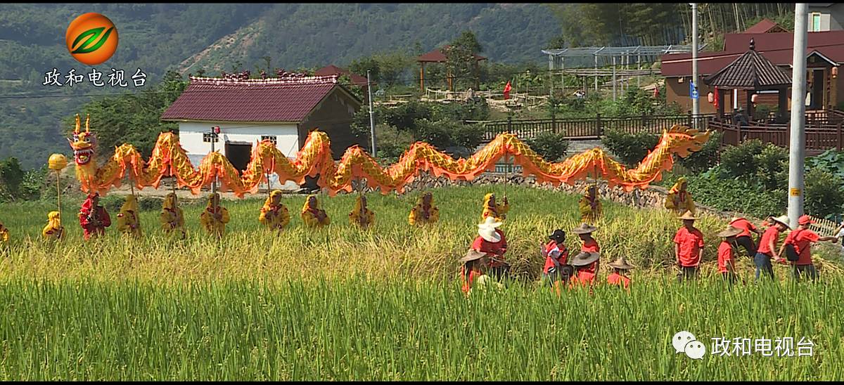 福建政和举办2017第二届念山开镰节庆祝丰收喜悦体验农耕乐趣