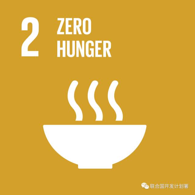 no.2 zero hunger 零饥饿