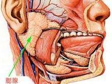 腮帮肿痛怎么办