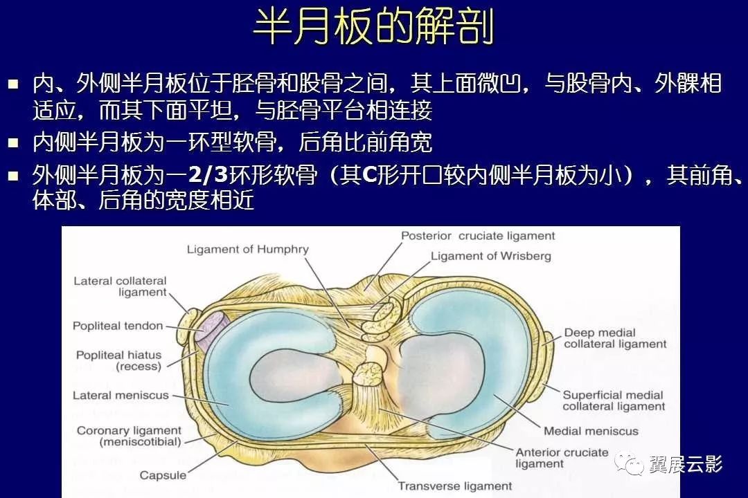 半月板病变的mr诊断