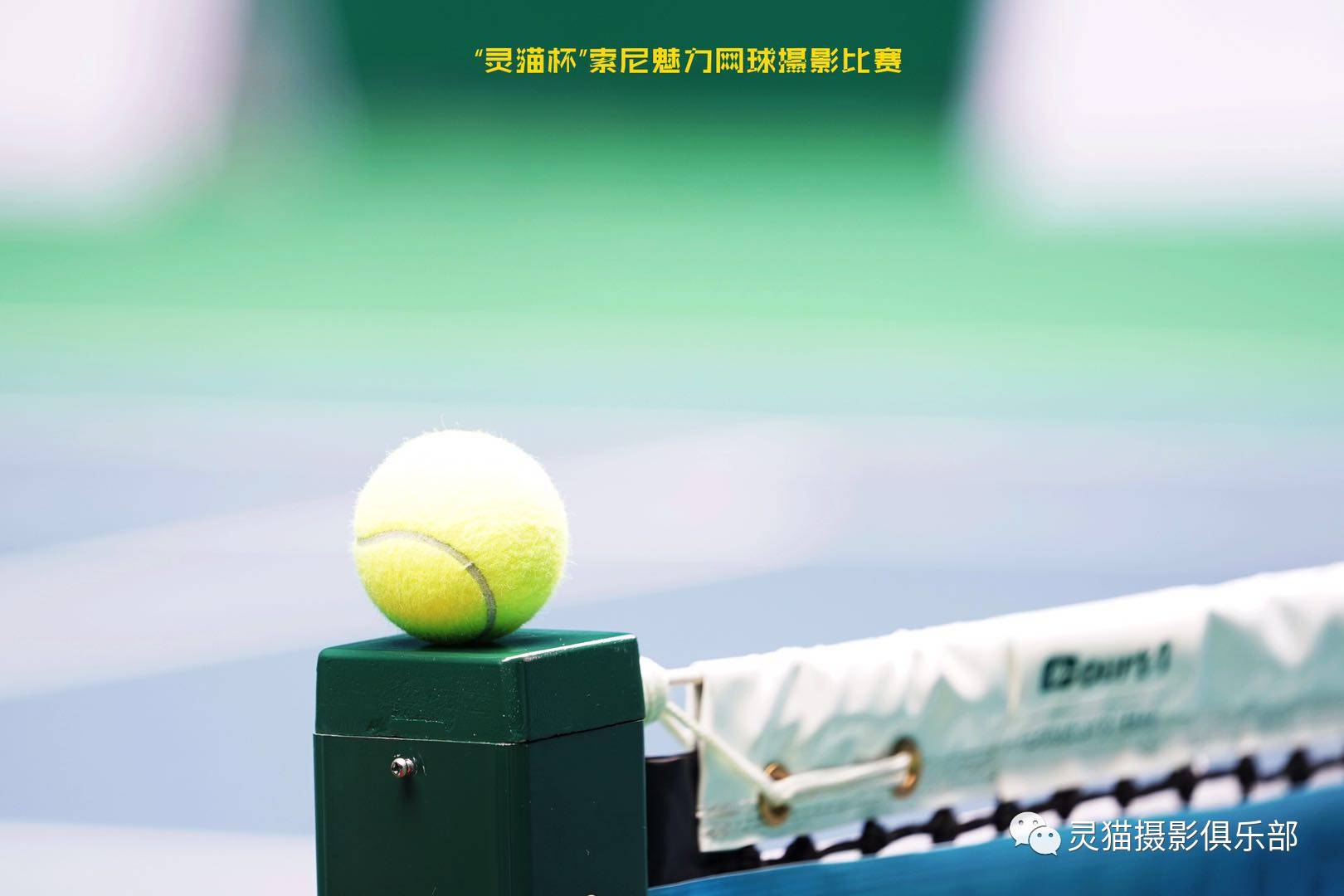 Tennis World Tour 2 网球世界巡回赛2 与全球排名第一线上联机_哔哩哔哩_bilibili