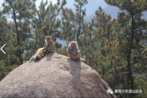 绝对零度 346161992 注意事项:天自带午饭,水,登山鞋或者运动鞋,山上