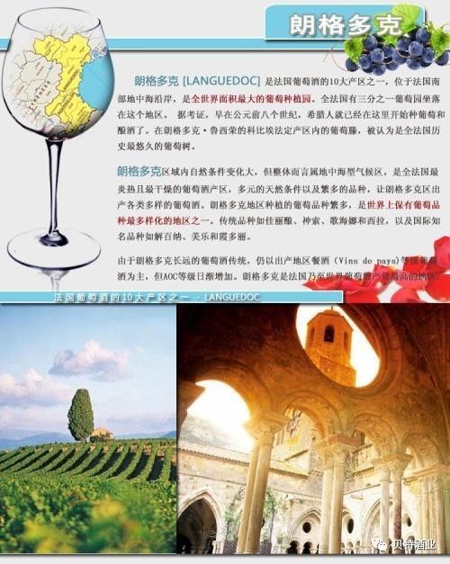 法国最大的葡萄酒产区朗格多克鲁西荣大区