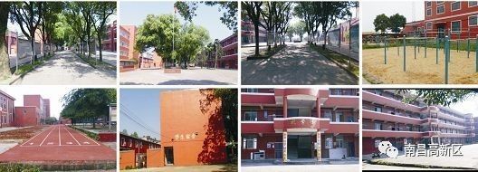 喜迎十九大61一校一宣麻丘中学迎检工作出成效特色教育硕果多