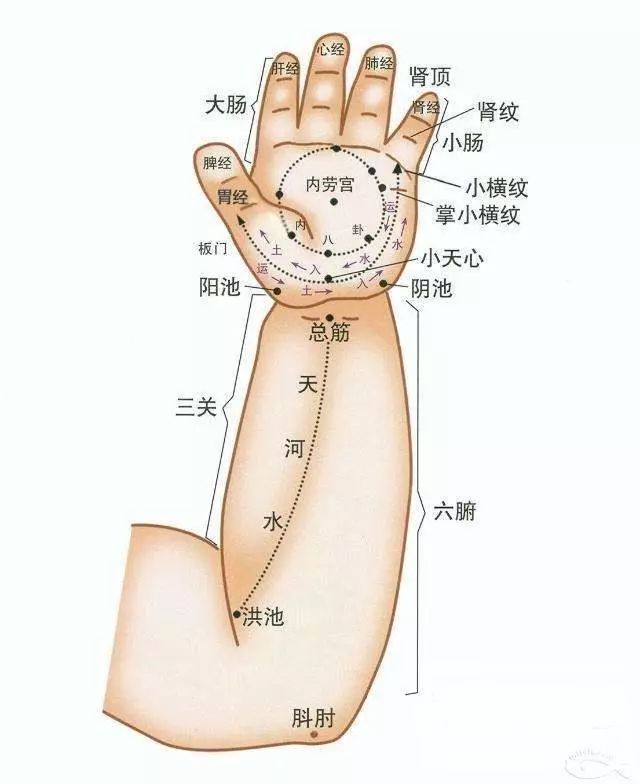 小儿推拿是建立在祖国医学整体观念的基础上,以阴阳五行,脏腑经络等学