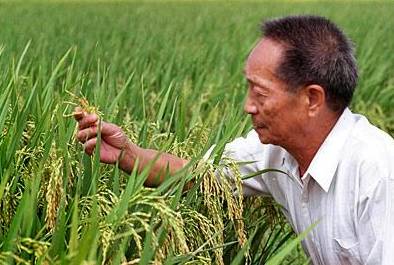 中国有多少人口温饱不了_蒯姓中国有多少人口