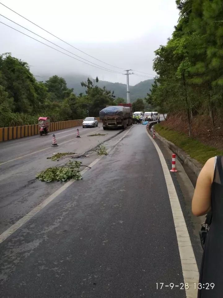 今天下午319国道发生严重车祸造成多人死亡