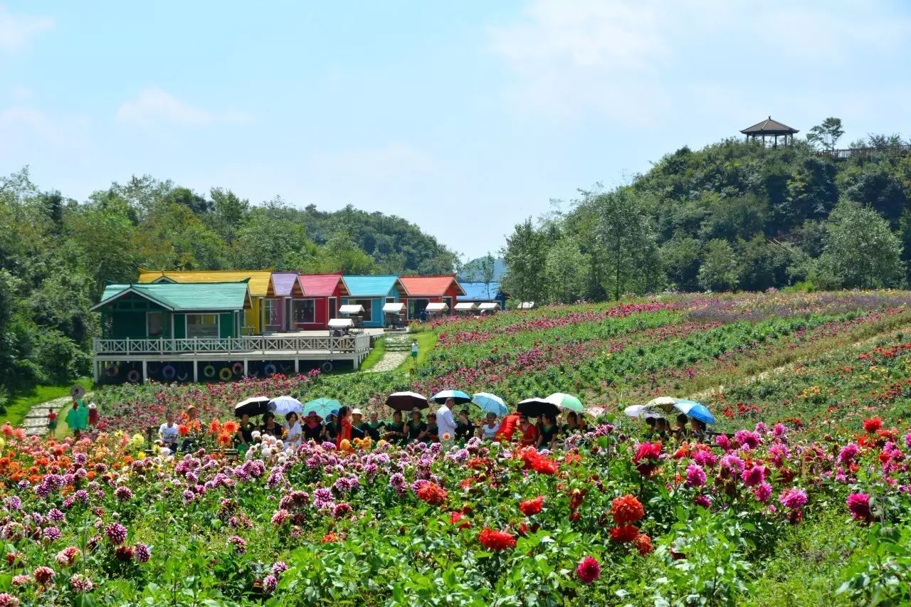 游览彝山花谷