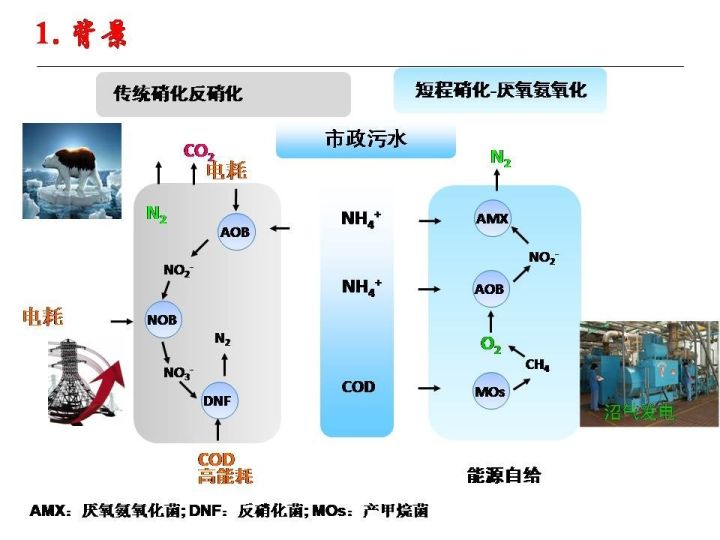 ppt视频彭永臻团队城市污水厌氧氨氧化脱氮研究