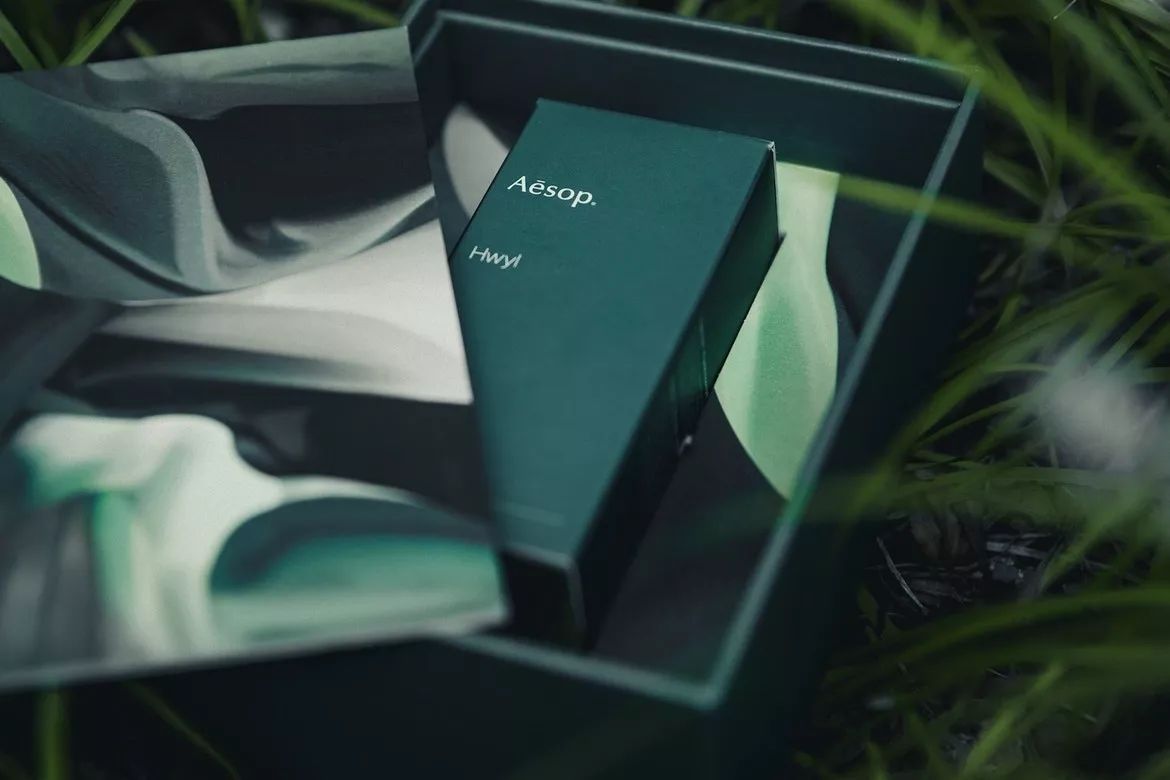 Aesop 推出第三款香水“Hwyl”，日本森林成为灵感