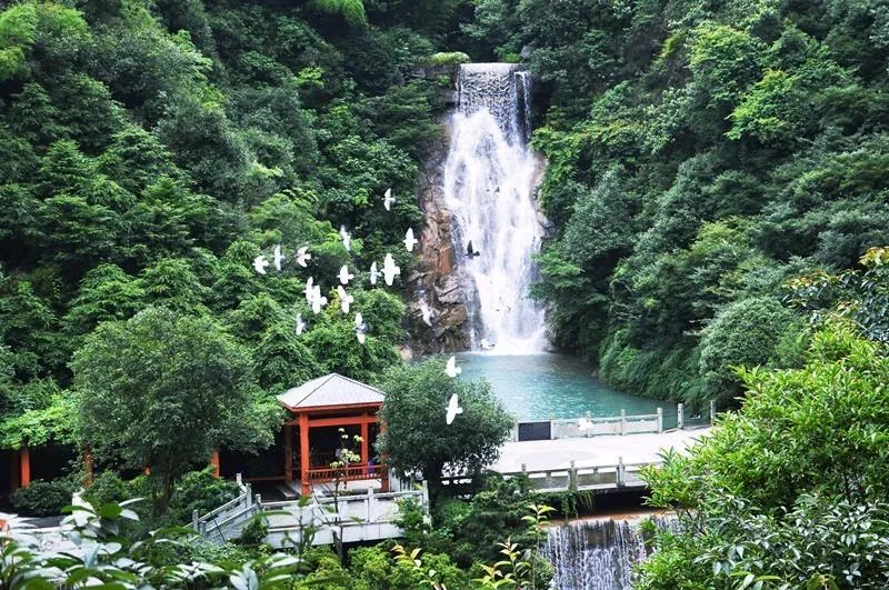 我最喜爱的郴州"十佳旅游目的地"网络投票进行中,郴州