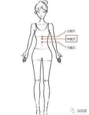 按照经络循行来瘦身------辰时瘦全身,巳时瘦大腿,未时肩背臀,申时瘦