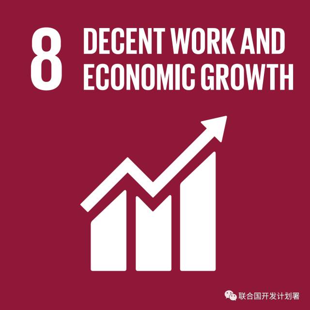 no.8 decent work and economic growth 体面工作和经济增长