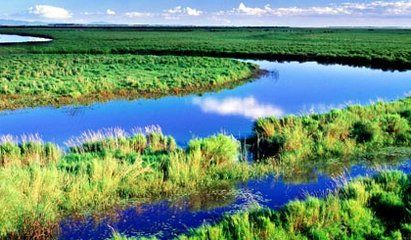 七星河湿地生态旅游区