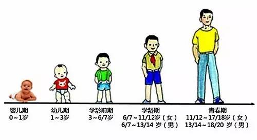 最新儿童身高体重表没达标的肯定是这4点没重视