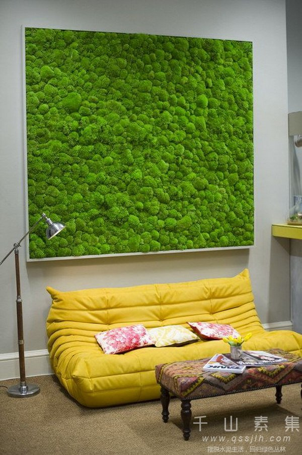 苔藓植物 千山素集植物墙的新元素