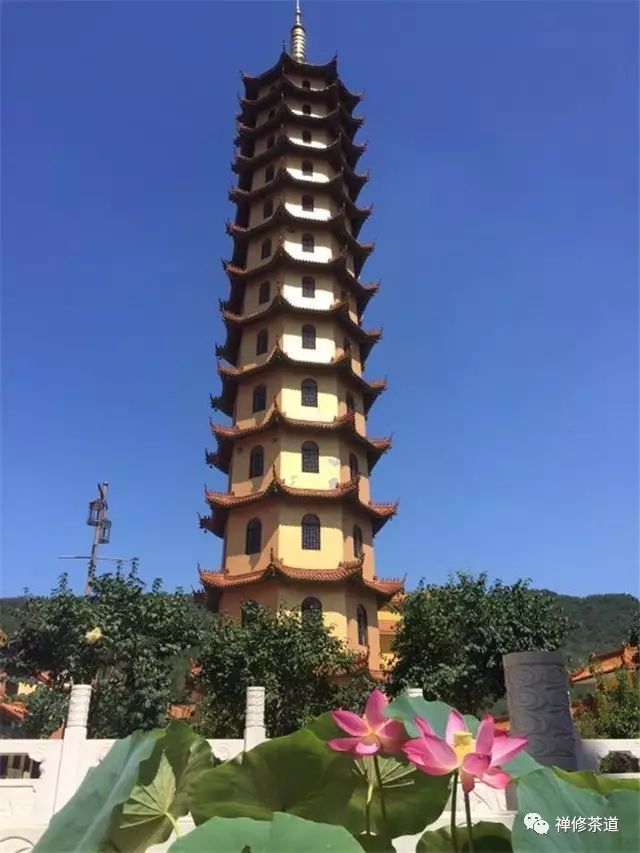 禅修茶道初级讲习班(博山正觉寺)将于11月24日开班